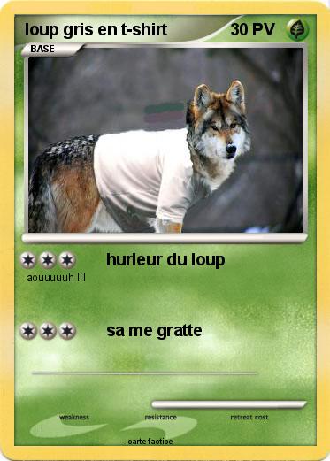 Pokemon loup gris en t-shirt