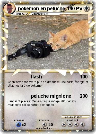 Pokemon pokemon en peluche