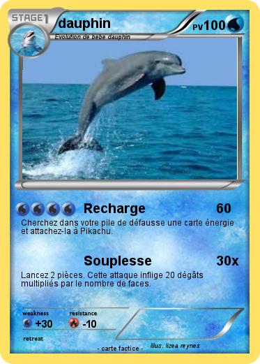 Pokemon dauphin