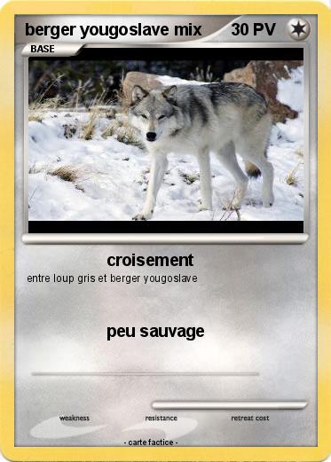 Pokemon berger yougoslave mix