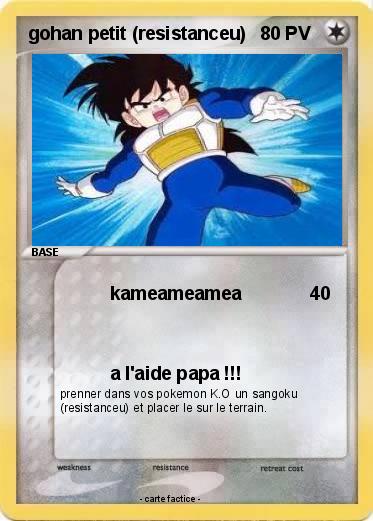 Pokemon gohan petit (resistanceu)