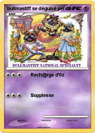 Pokemon bullmastiff se déguisé perso d'0Z
