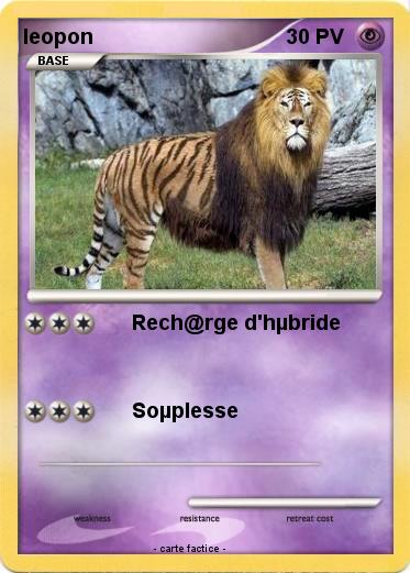 Pokemon leopon