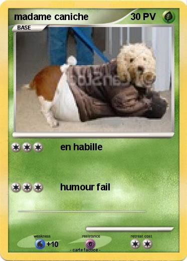 Pokemon madame caniche