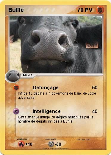 Pokemon Buffle