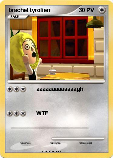 Pokemon brachet tyrolien