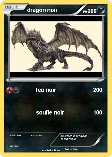 Pokemon dragon noir