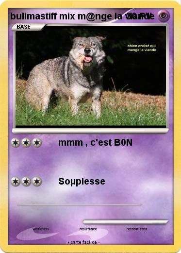 Pokemon bullmastiff mix m@nge la viande