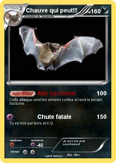 Pokemon Chauve qui peut!!!