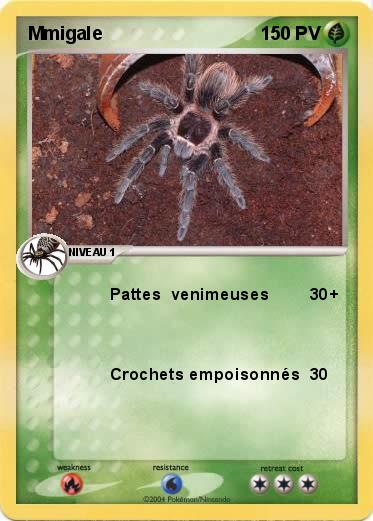 Pokemon Mmigale