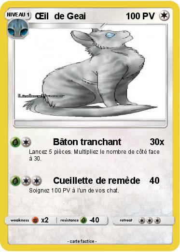 Pokemon Œil  de Geai