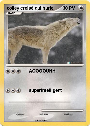 Pokemon colley croisé qui hurle