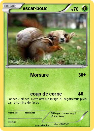 Pokemon escar-bouc