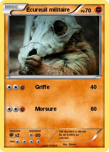 Pokemon Écureuil militaire