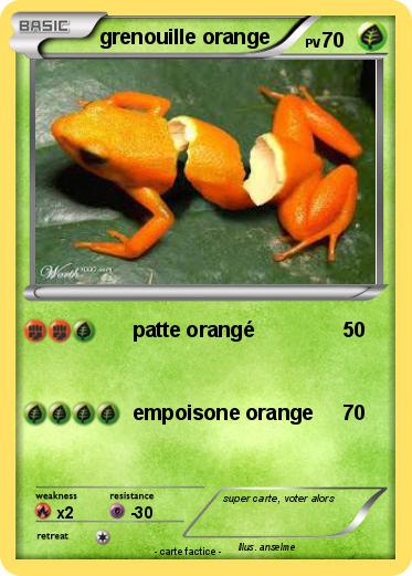 Pokemon grenouille orange