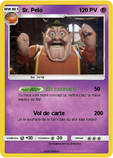 Pokemon Sr. Pelo