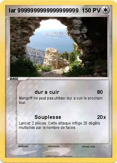 Pokemon lar 9999999999999999999