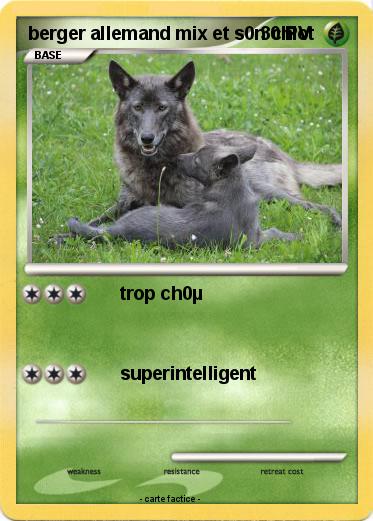 Pokemon berger allemand mix et s0n chiot