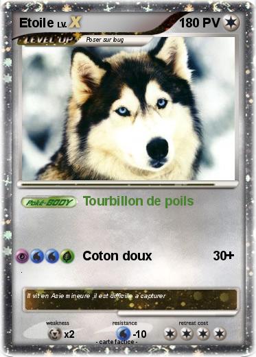 Pokemon Etoile