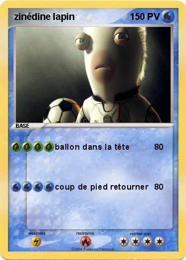 Pokemon zinédine lapin