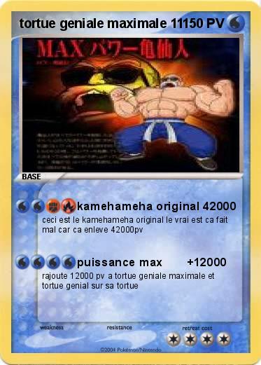 Pokemon tortue geniale maximale 11