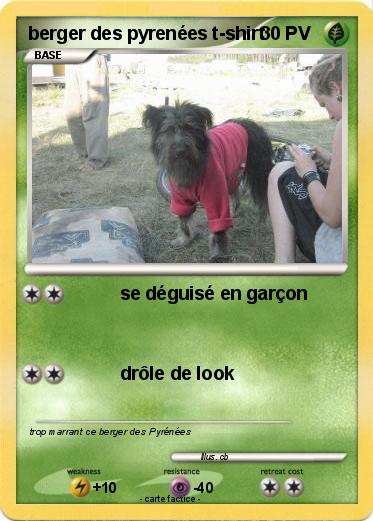Pokemon berger des pyrenées t-shirt
