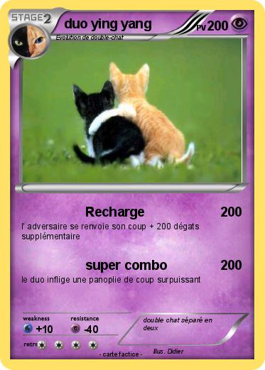 Pokemon duo ying yang