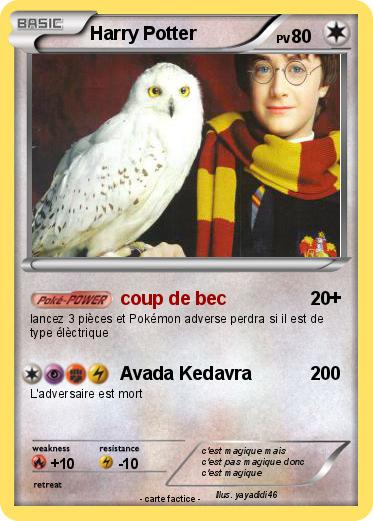 Pokemon Harry Potter