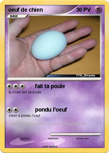 Pokemon oeuf de chien