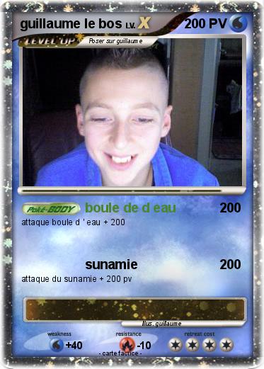 Pokemon guillaume le bos