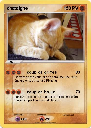 Pokemon chataigne