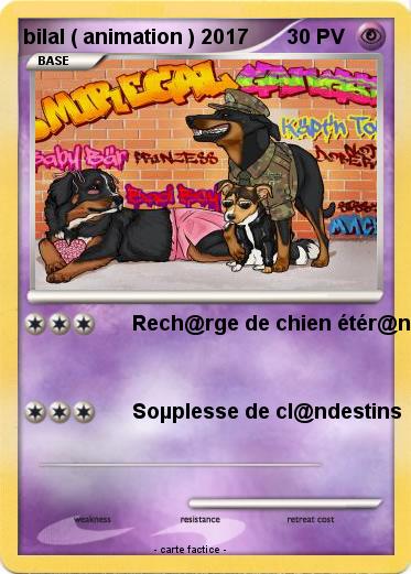 Pokemon bilal ( animation ) 2017