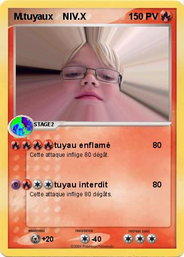 Pokemon M.tuyaux    NIV.X