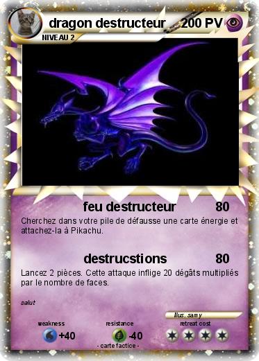 Pokemon dragon destructeur