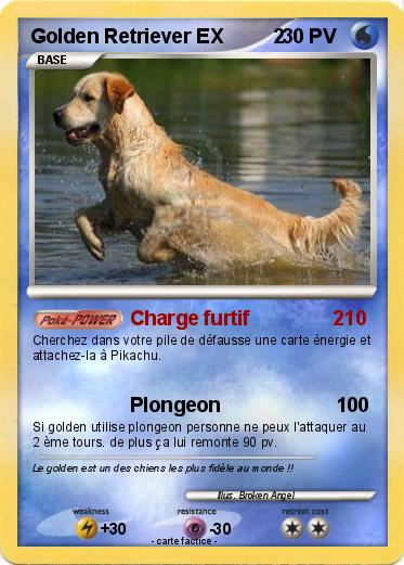 Pokemon Golden Retriever EX         2