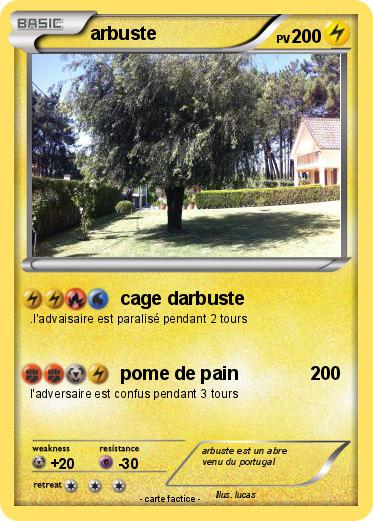Pokemon arbuste