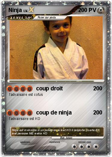 Pokemon Ninja