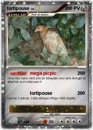 Pokemon tortipouse