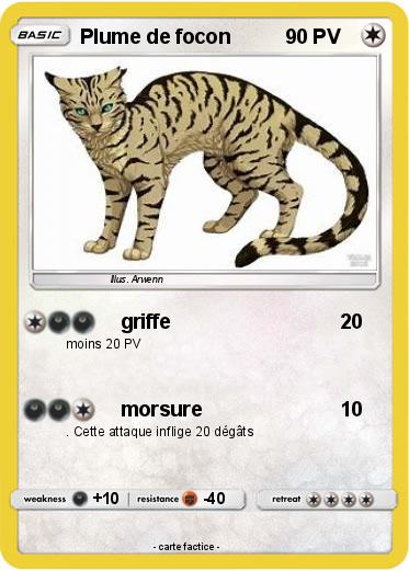 Pokemon Plume de focon