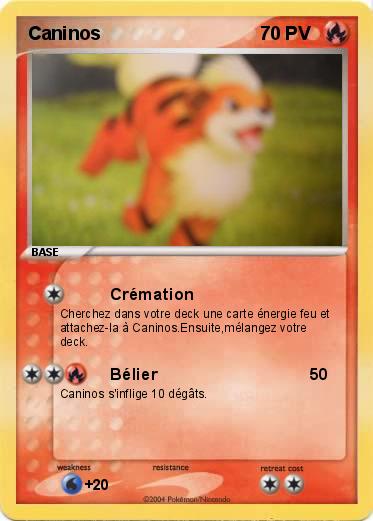 Pokemon Caninos