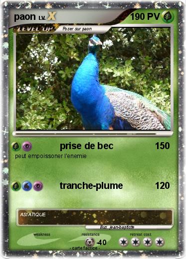 Pokemon paon