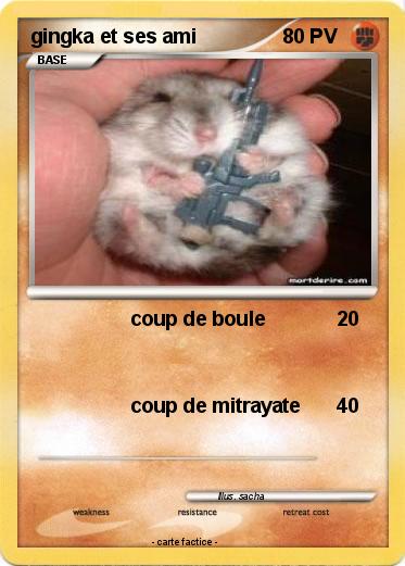Pokemon gingka et ses ami