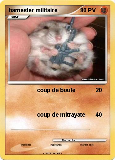 Pokemon hamester militaire