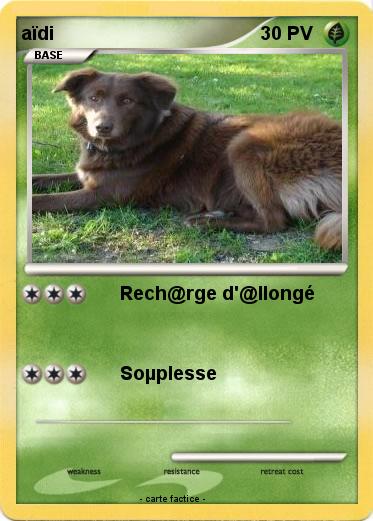 Pokemon aïdi