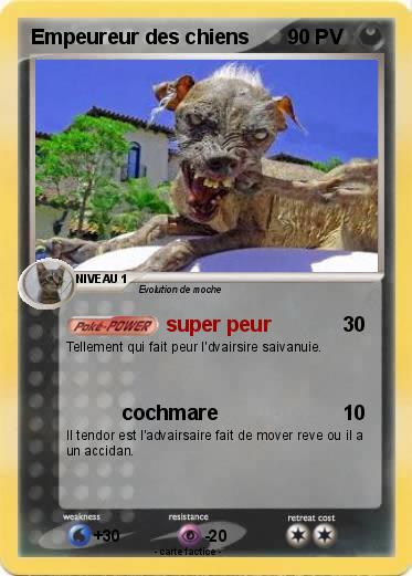 Pokemon Empeureur des chiens