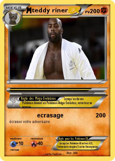 Pokemon teddy riner