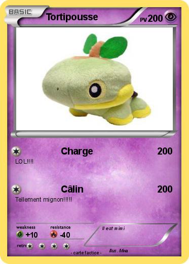 Pokemon Tortipousse