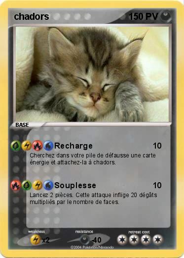 Pokemon chadors