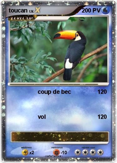 Pokemon toucan