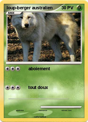 Pokemon loup-berger australien